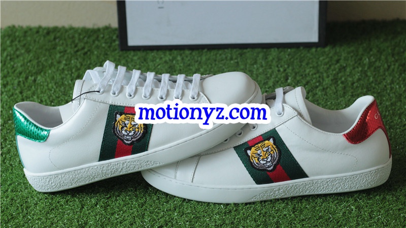 GC Ace Embroidered Sneaker Low Top Tiger